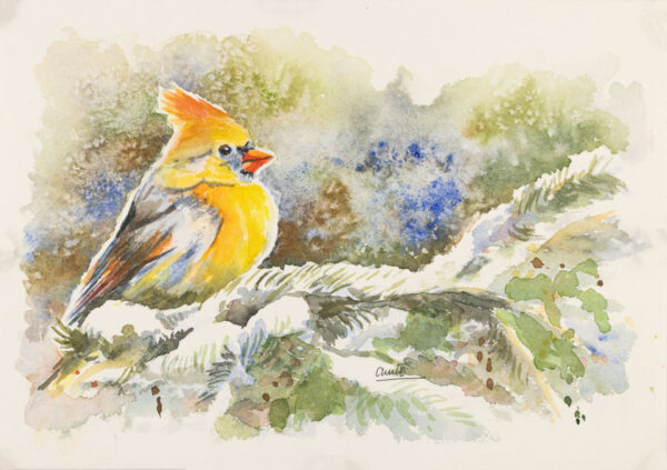 The yellow bird in the snow